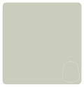 PALLID WYCH FLESH 12ML by Games Workshop
