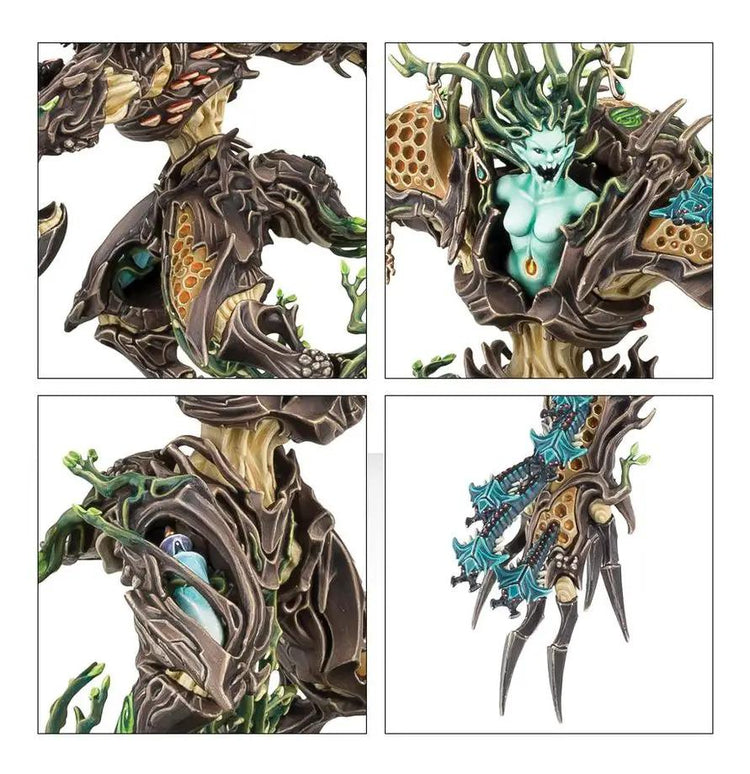 SYLVANETH: Drycha Hamadreth by Games Workshop
