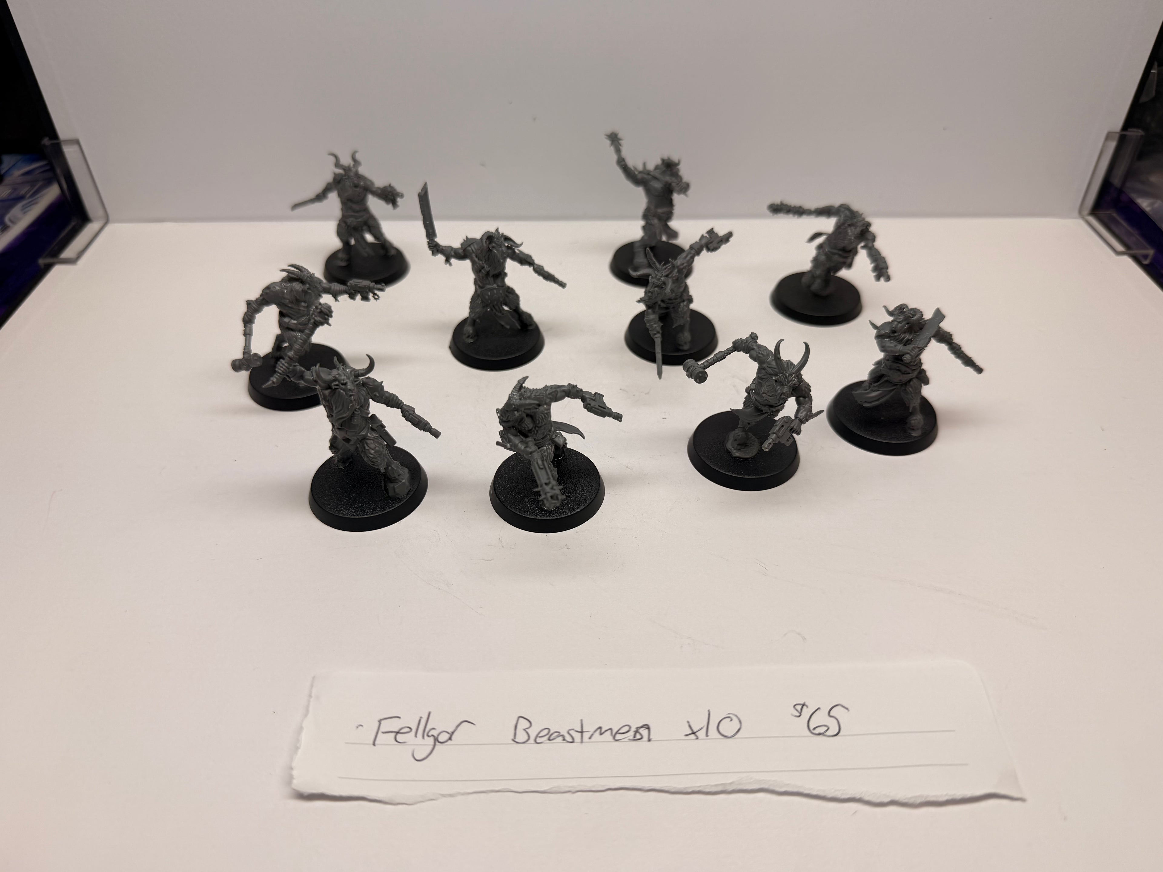 Fellgor Beastmen: Used
