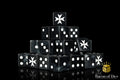 Knights Templar - Black (25ct) by Baron of Dice