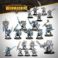 Warmachine: Cygnar Storm Legion Core Expansion by Warmachine