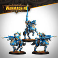 Warmachine: Storm Lance Legionnaires by Warmachine
